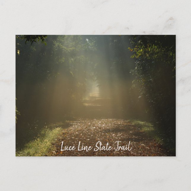 Postkort för Luce Line State-spår Vykort (Framsida)