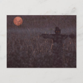 Postkort för majs fält vykort