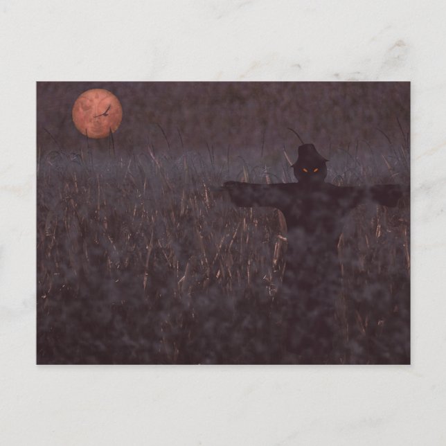 Postkort för majs fält vykort (Framsida)