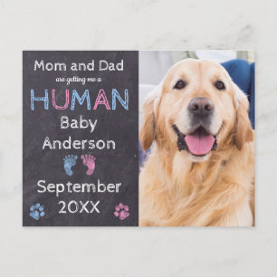 Postkort för meddelande om Gravid i Hund