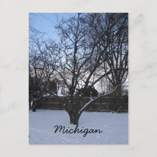 Postkort för Michigan-vintern Vykort