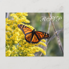 Postkort för Monarch Butterfly Bröllop OSA Inbjudan Vykort