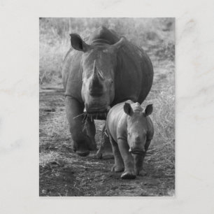 Postkort för mor och Baby Rhino Vykort