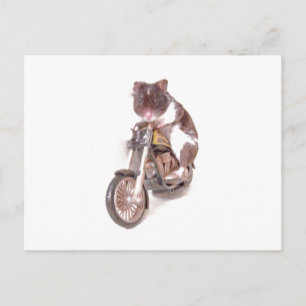 Postkort för motorcykelhamster vykort