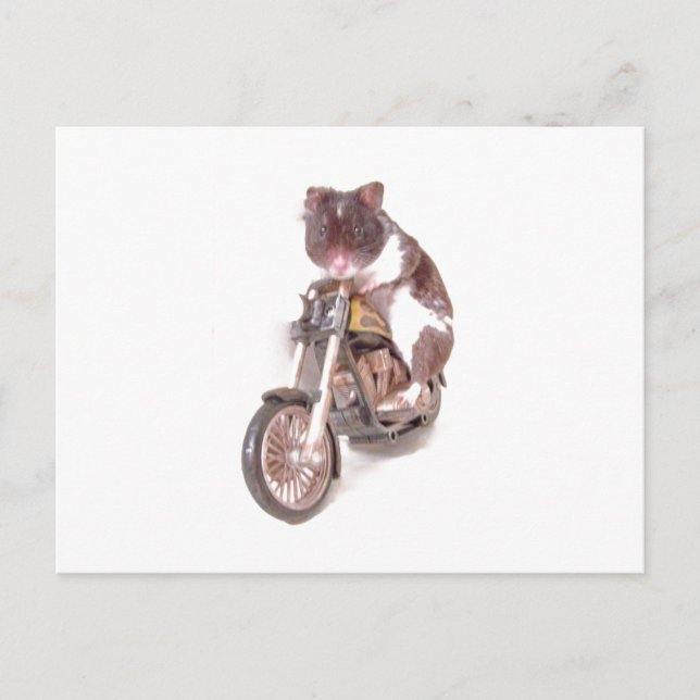 Postkort för motorcykelhamster vykort (Framsida)