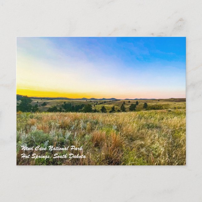 Postkort för nationalparken vind Cave Vykort (Framsida)