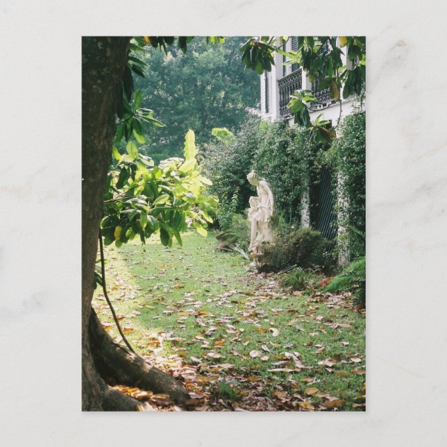 Postkort för nattplantering vykort (Framsida)