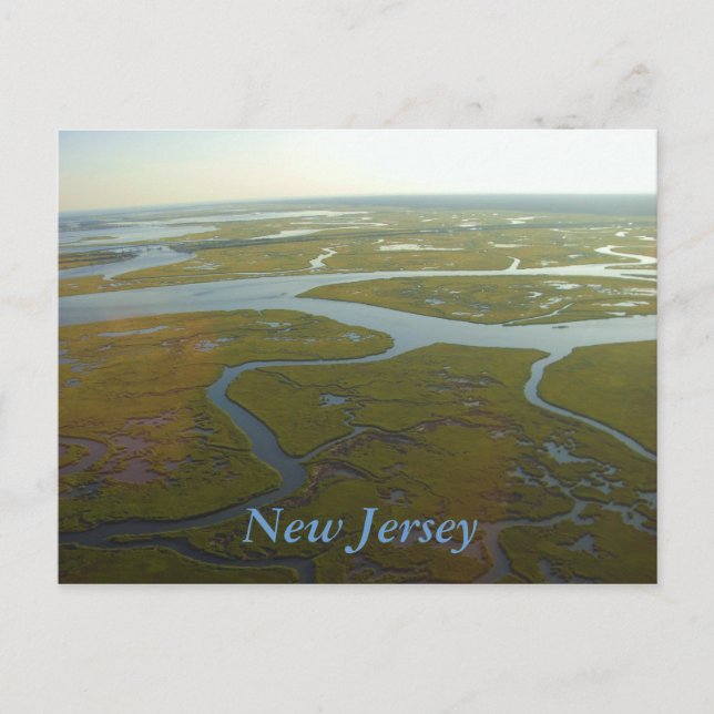 Postkort för new jersey Wetlands Vykort (Framsida)