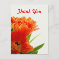 Postkort för orange Tulips Tack
