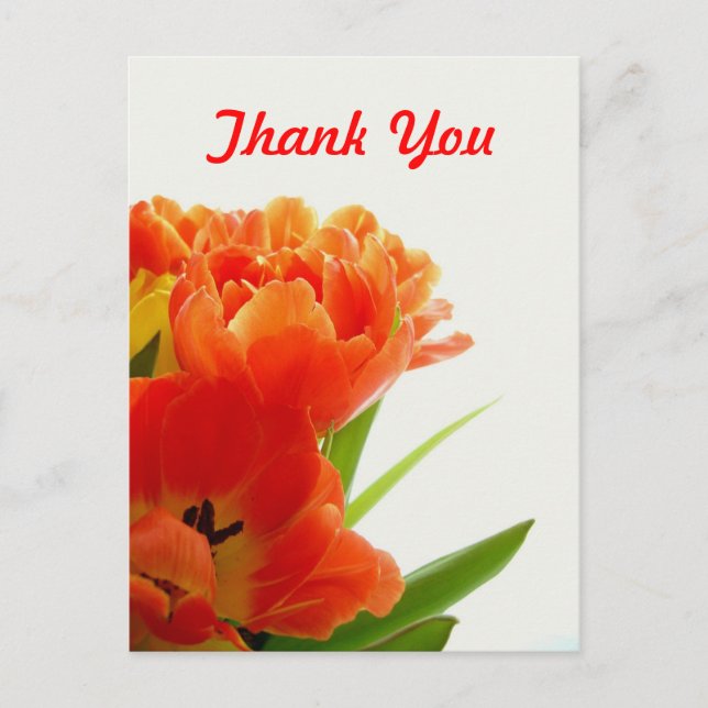 Postkort för orange Tulips Tack Vykort (Framsida)