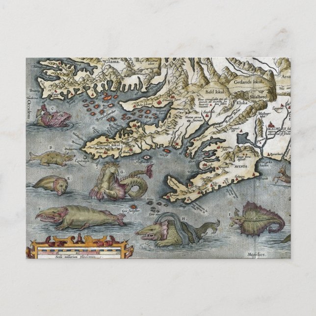 Postkort för Ortelius Karta Sea Monsters Vykort (Framsida)