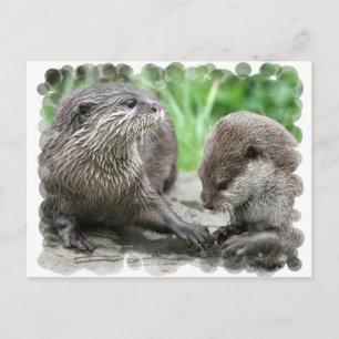 Postkort för Otter Habitat Vykort