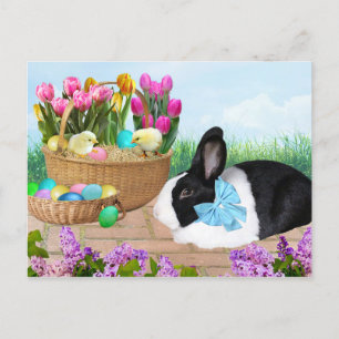Postkort för påsk Basket Bunny Vykort