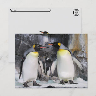 Postkort för passerande Kung Penguins-postkort Vykort