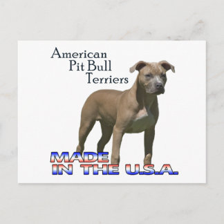 Postkort för Patriot American Pit Bull Terrier (AP Vykort
