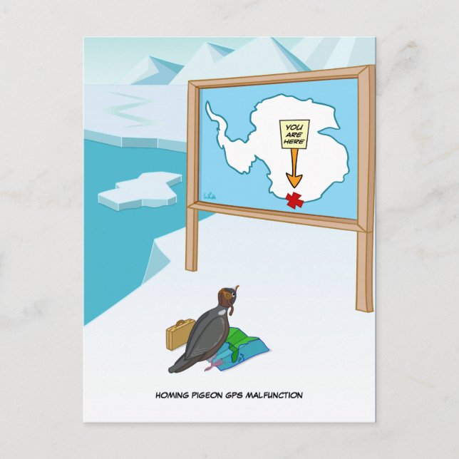 Postkort för Pigeon GPS-felfunktion Vykort (Framsida)