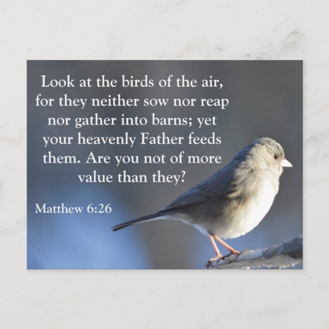 Postkort för religiösa Encouragement Vykort (Framsida)