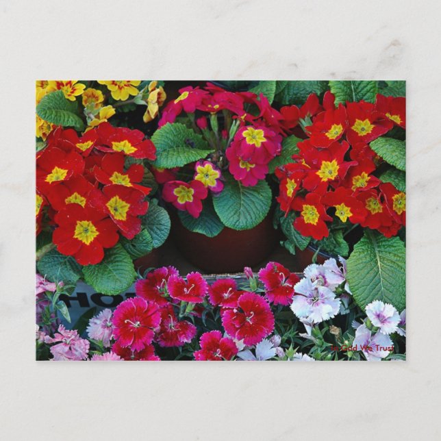 Postkort för resa 4 vykort (Framsida)