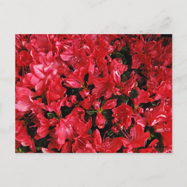 Postkort för resor 5 vykort (Framsida)