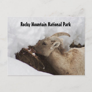 Postkort för Rocky Mountain nationalpark Vykort