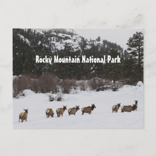 Postkort för Rocky Mountain nationalpark Vykort