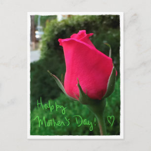 Postkort för rosenknopp Lycklig Mors dag Vykort