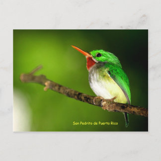 Postkort för San Pedrito de Puerto Rico Vykort