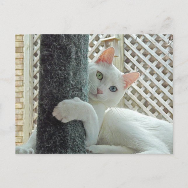 Postkort för servicenivå vykort (Framsida)