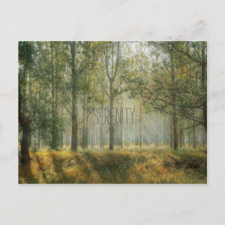 Postkort för servicetyp vykort