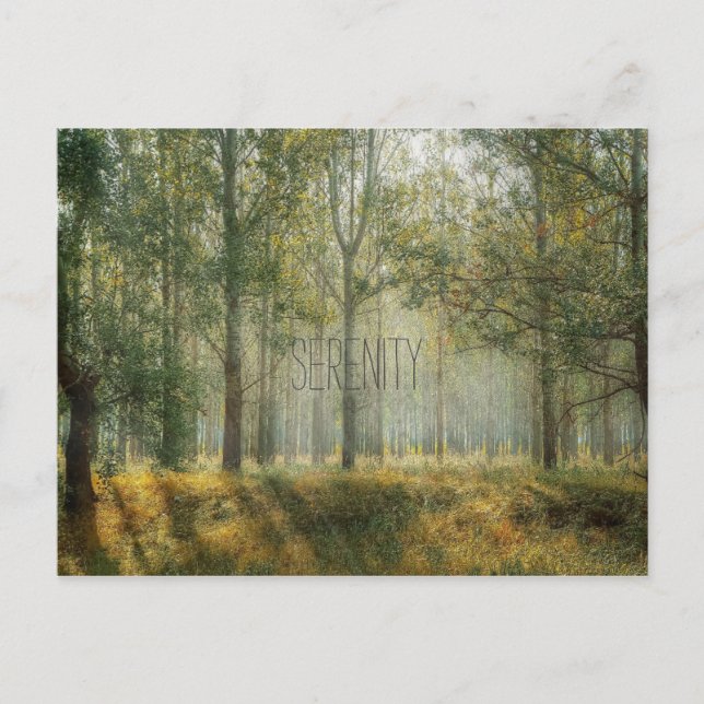 Postkort för servicetyp vykort (Framsida)