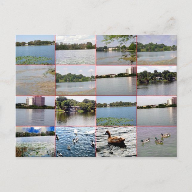 Postkort för sjö Collage Vykort (Framsida)