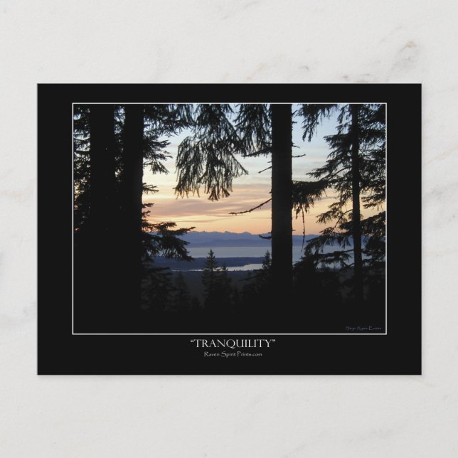 Postkort för skogsskövling vykort (Framsida)