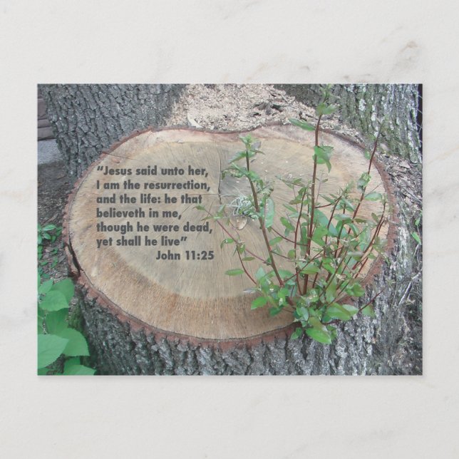 Postkort för skript vykort (Framsida)