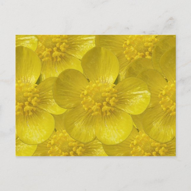 Postkort för smör vykort (Framsida)