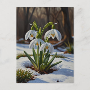 Postkort för snäckblommor vykort