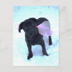 Postkort för Snö Fairy Labrador Vykort