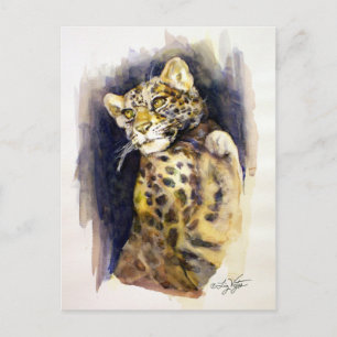 Postkort för snö Leopard Vykort
