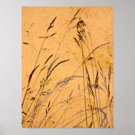 Postkort för sommargräs och skuggor poster
