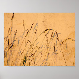 Postkort för sommargräs och skuggor poster