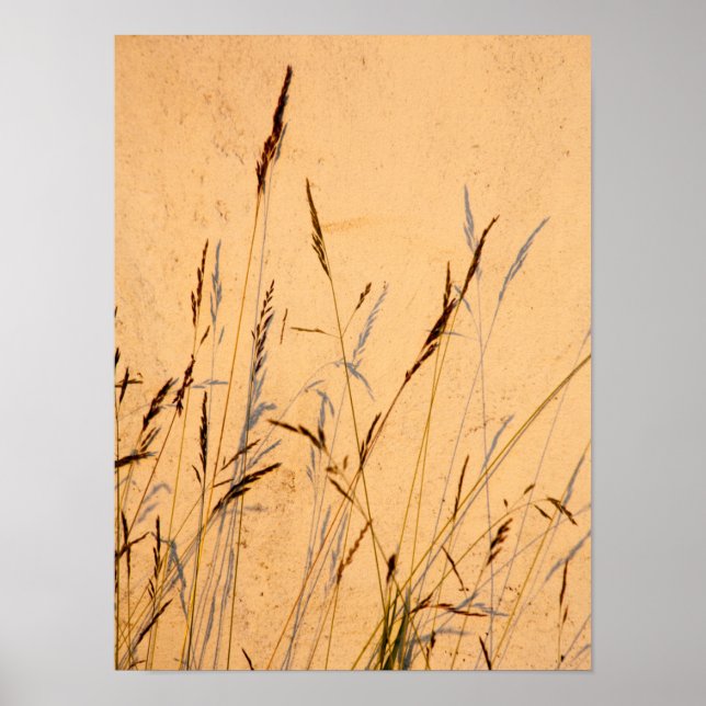 Postkort för sommargräs och skuggor poster (Framsidan)