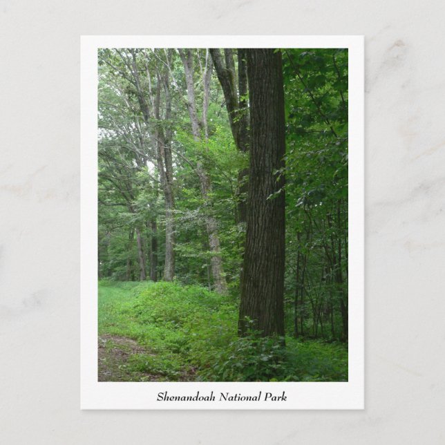 Postkort för sommarkvällstid i coola vykort (Framsida)