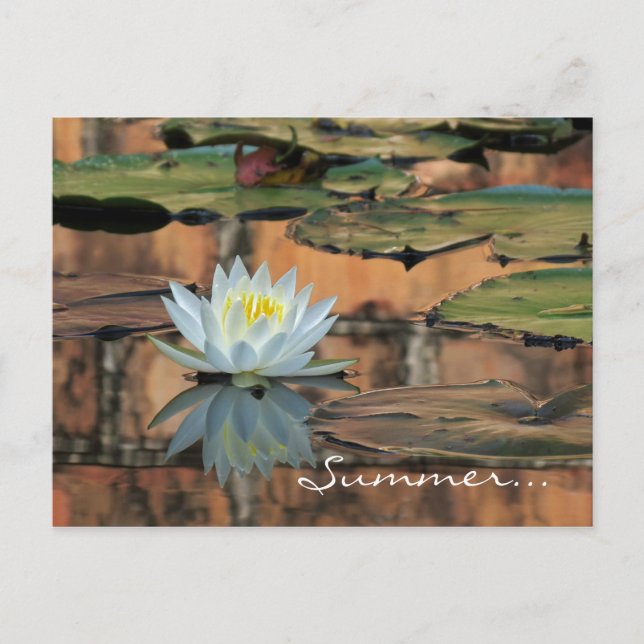 Postkort för sommarSolstice Party-inbjudan Inbjudan Vykort (Framsida)