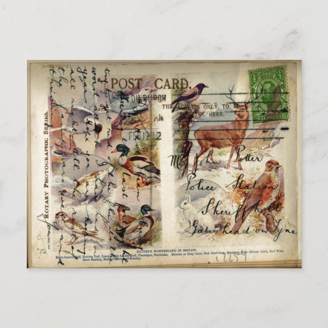 Postkort för sommartid och vintertid vykort (Framsida)