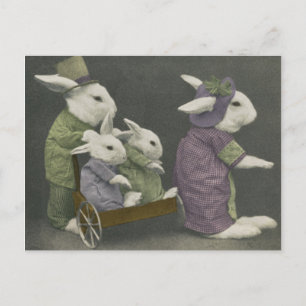 Postkort för söndag Bunnies Vykort