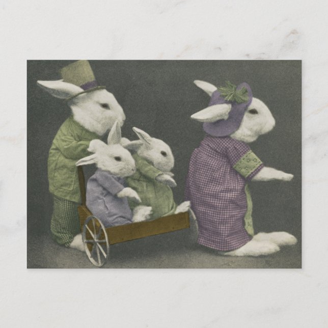Postkort för söndag Bunnies Vykort (Framsida)