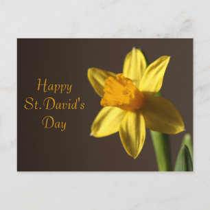 Postkort för St.David-dagen Vykort