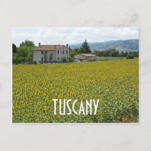 Postkort för Tuscany Hillside Solros Fält Vykort