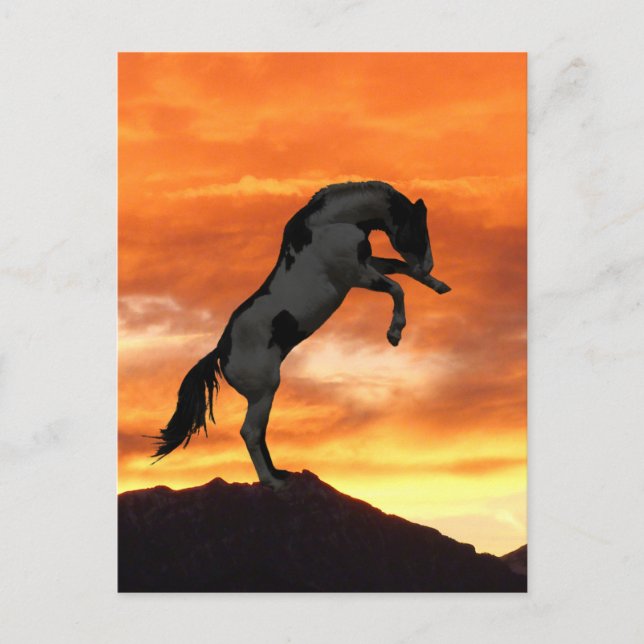 Postkort för uppringning av hästar vykort (Framsida)