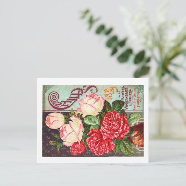 Postkort för utsädespaket vykort (Stående Fram)