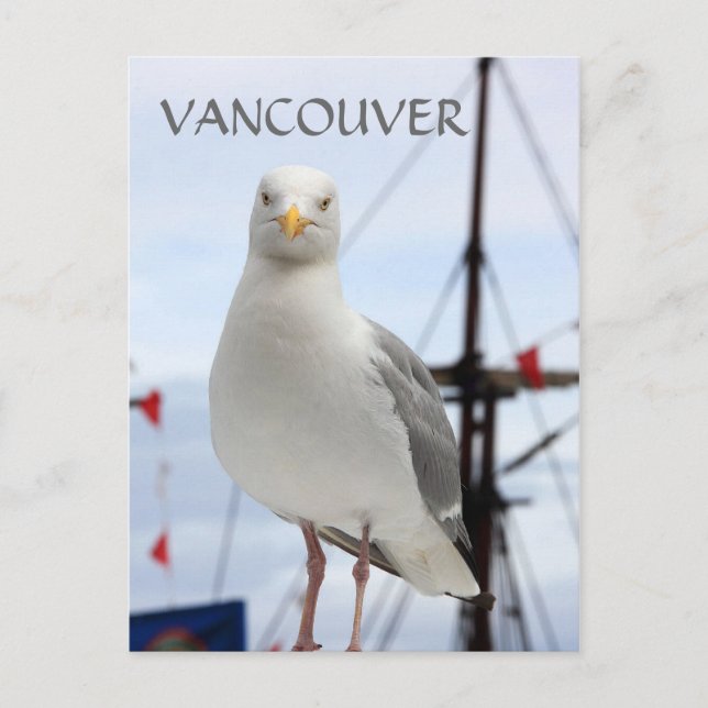 Postkort för Vancouver, Fiskmås och Boat Vykort (Framsida)